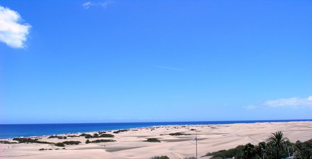 Alsol Patricio Leilighet